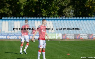 巴列卡诺队主场叫什么？它为何能成为马德里足球精神的另类象征？