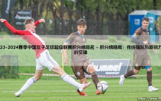 2023-2024赛季中国女子足球超级联赛积分榜排名全景解析