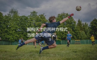 维尔茨和祖德·贝林厄姆哪个强?解构天才的两种方程式