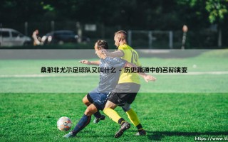桑那非尤尔足球队：揭秘这支神秘队伍 桑那非尤尔究竟又叫什么？