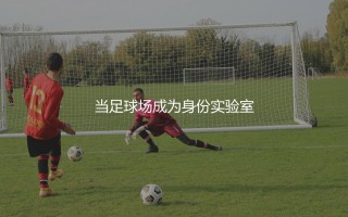格拉利什是哪个国家的？当足球场成为身份实验室