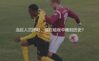 博阿维斯塔2001葡超冠军球员大名单：当巨人沉睡时，谁在暗夜中雕刻历史？