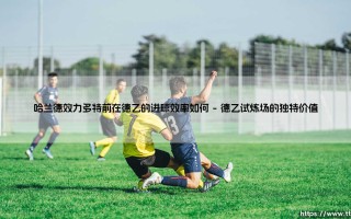 哈兰德效力多特前在德乙的进球效率如何：一段被低估的成长序章