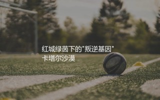 摩洛哥队2022世界杯阵容：红城绿茵下的"叛逆基因"
