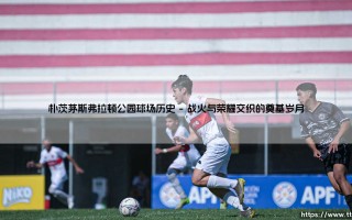 朴茨茅斯弗拉顿公园球场历史：一座海滨城市的足球圣殿