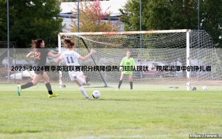 2023-2024赛季英冠联赛积分榜降级热门球队现状-射门练习生