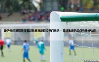 鲁伊·帕特里西奥在葡超联赛算是顶级守门员吗？——剖析这位门神的葡超生涯与传奇地位