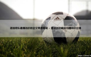 诺维奇队最赚钱的转会交易是哪笔：一笔交易背后的生存智慧