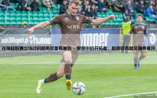 在瑞超联赛出场过的越南球星有哪些：探寻北欧战场上的越南印记