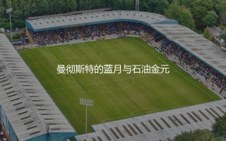 英超最有钱的球队是哪支？曼彻斯特的蓝月与石油金元