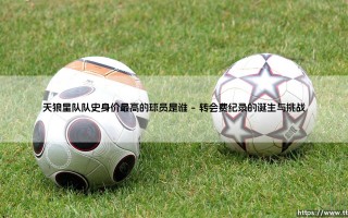 天狼星队队史身价最高的球员是谁：天狼星队队史身价最高的球员如何定义传奇