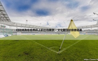 归化球员在世界杯舞台上的精彩亮相