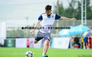 鲁伊科斯塔什么水平？一代大师的华丽篇章