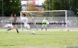 挪超哪支球队「升班马」表现最亮眼？- 探寻新赛季的黑马传奇