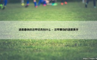 速度最快的法甲球员叫什么？风驰电掣的法甲极速之王究竟是谁！