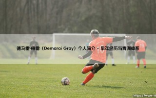 德马雷·格雷个人简介