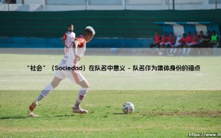 “社会”在队名中：集体认同的微型宣言