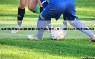 莱斯特城队首夺英超联赛的核心球员都有哪些「足坛速递」