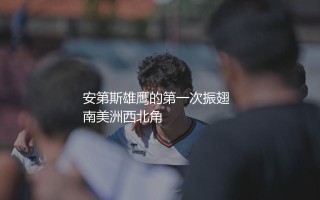 厄瓜多尔队世界杯最佳成绩第几？安第斯雄鹰的第一次振翅