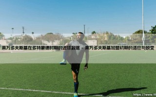 莱万多夫斯基在多特蒙德的进球数据：一段传奇射手的数据与荣耀之路