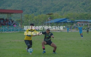 博德闪耀主场是人工草坪吗？足球革命的"绿色实验室"