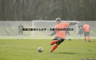 巅峰范戴克什么水平(足球新鲜事)