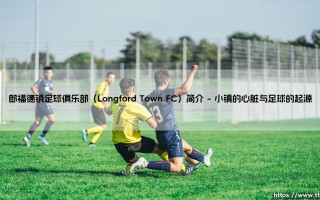 郎福德镇足球俱乐部：一支爱尔兰球队的故事？探寻「Longford Town FC」的绿茵传奇