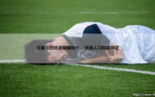 北爱尔兰球迷规模统计-看球不熬夜