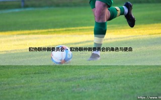 欧协联仲裁委员会「Goal+」