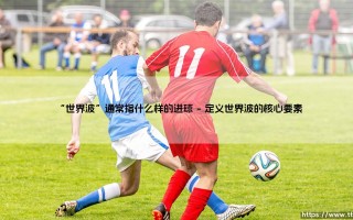 世界波的魅力：什么样的进球才配被称为世界波