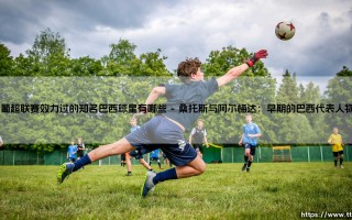 在葡超联赛效力过的知名巴西球星有哪些|磁儿足球说