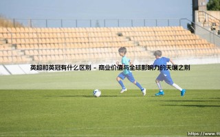 英超与英冠：绿茵世界的分水岭与命运岔路