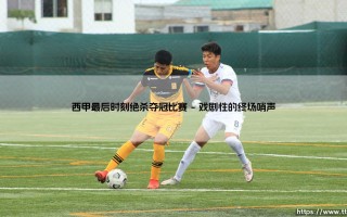 西甲最后时刻绝杀夺冠比赛：绿茵场上的永恒史诗