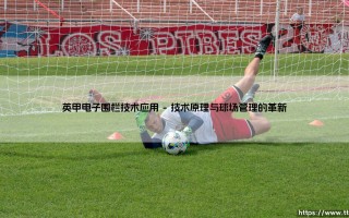 英甲电子围栏技术应用：是球场秩序的革命，还是隐私流失的开端？