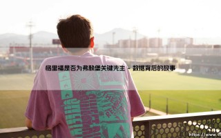 格里福是否为弗赖堡关键先生？