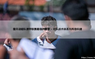 霍芬海姆队德甲联赛最强的赛季——地上足球