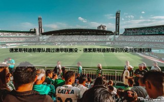 德累斯顿迪那摩队：他们踢过德甲联赛吗？