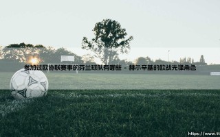 参加过欧协联赛事的芬兰球队有哪些（李老师说球）