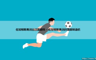 佐加顿斯青训出过国脚吗？——探秘瑞典劲旅的人才摇篮