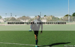 挪超和丹超联赛哪个水平更高：北欧足球的隐秘角力场