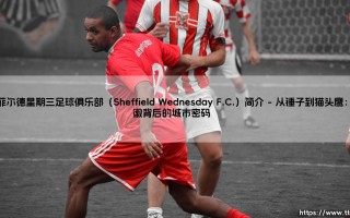 谢菲尔德星期三足球俱乐部：这家百年老牌为何让人念念不忘？——「Sheffield Wednesday F.C.」的前世今生