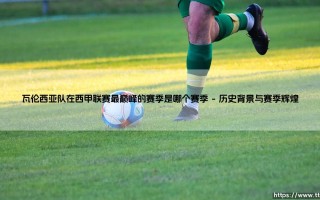 瓦伦西亚队在西甲联赛最巅峰的赛季是哪个赛季？