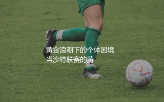 利雅得新月米特洛维奇去哪了？黄金浪潮下的个体困境