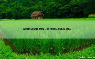 欧联杯含金量究竟有多高？这项赛事是否被严重低估了