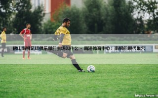 佛山南狮足球俱乐部的主场叫什么？探寻激情澎湃的“狮巢”