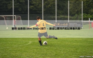 塞姆·施泰恩(Sem Steijn)简介——每日足球