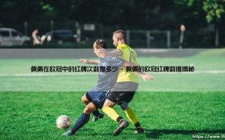 佩佩在欧冠中的红牌次数是多少？——深入探究「欧冠硬汉」的纪律记录
