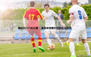 葡超共打几轮比赛？带你深入了解葡萄牙顶级联赛赛制