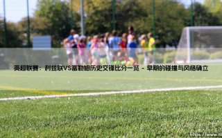 英超联赛：利兹联VS富勒姆历史交锋比分一览-足坛风向标