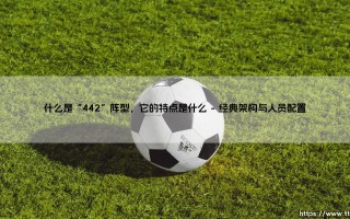 什么是“442”阵型，它的特点是什么？